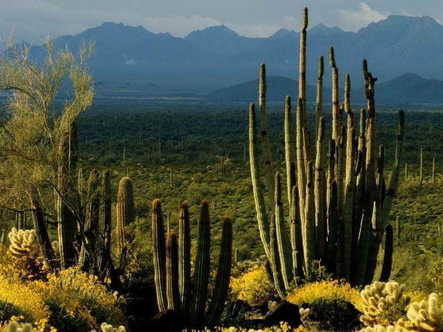 Пейзаж штата Аризона