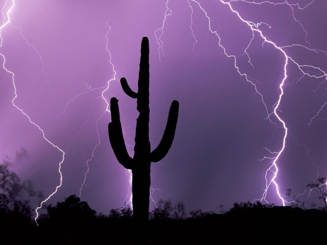 Гроза в Аризоне