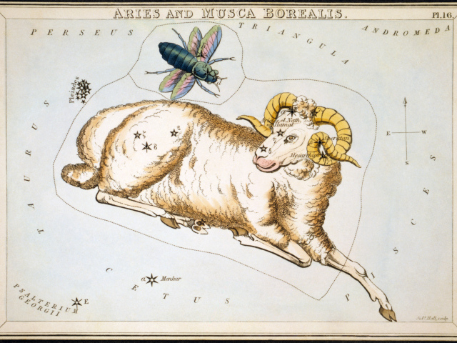 Овен на карте звёздного неба