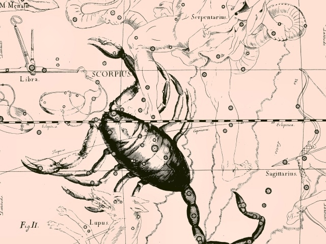 Карта звездного неба, скорпион, розовый цвет