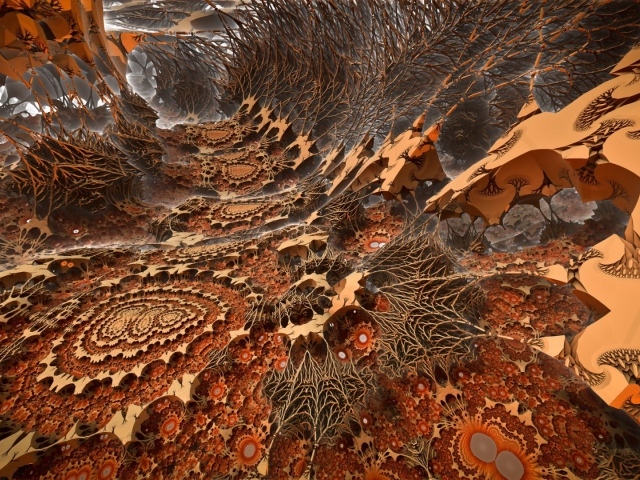 Загадочный мир корней