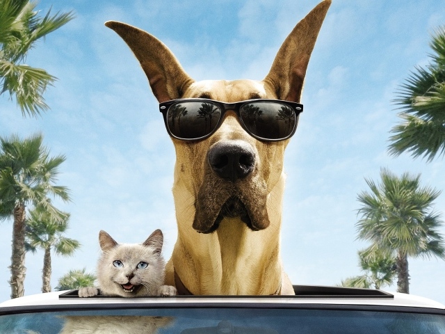 Животные герои фильма