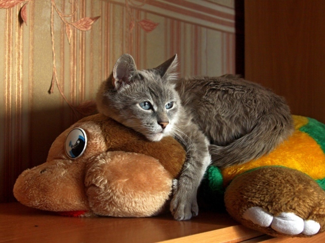 Кот лежит на мягкой игрушке