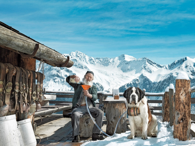 Старик с собакой сенбернаром