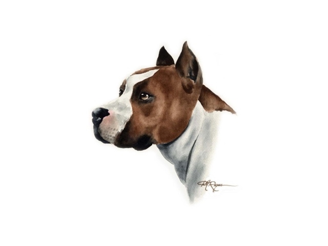 Нарисованный пес питбуль