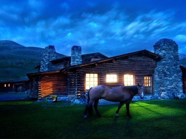 Лошадь около дома