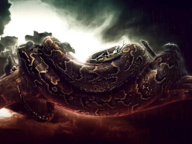 Мыши бегают по удаву