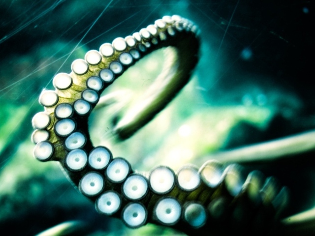 Щупальце осьминога