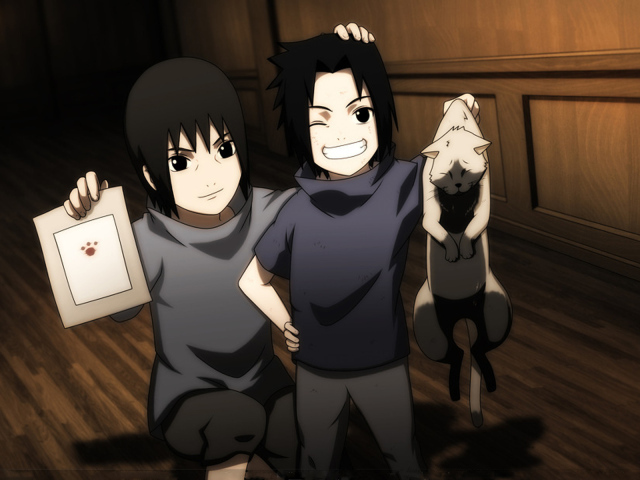 Девочки с котом