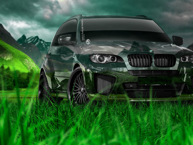 Дух свободы с BMW X5