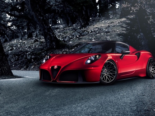 Гоночный Alfa Romeo 4C 2014 года
