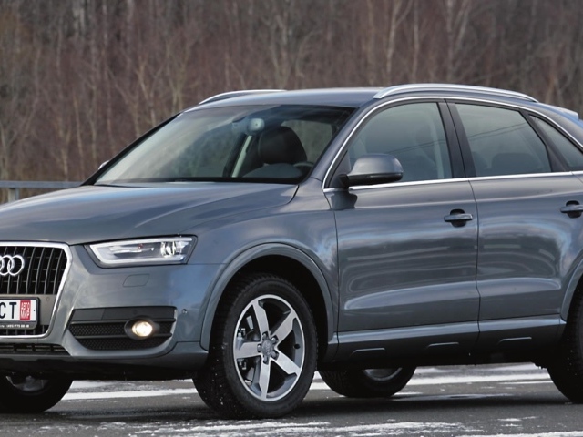 Дикий зверь Audi Q3
