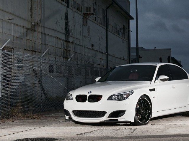 Белый BMW M-5
