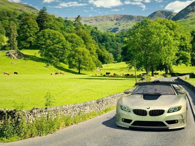 Автомобиль BMW на поле