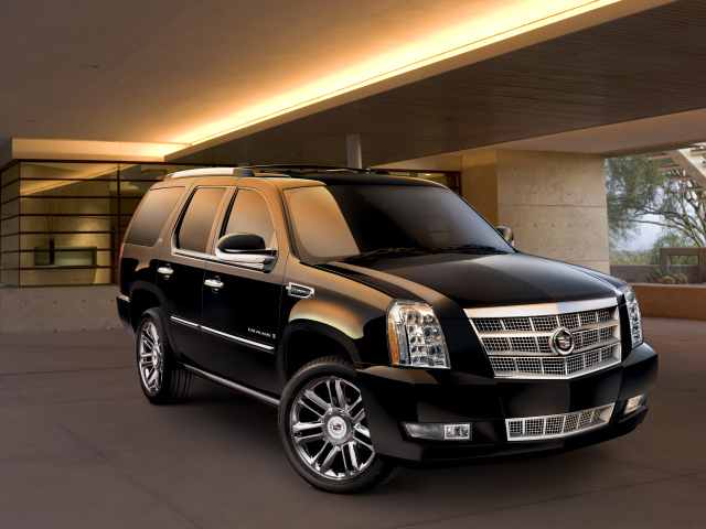 Домашний зверь Cadillac Escalade 2014