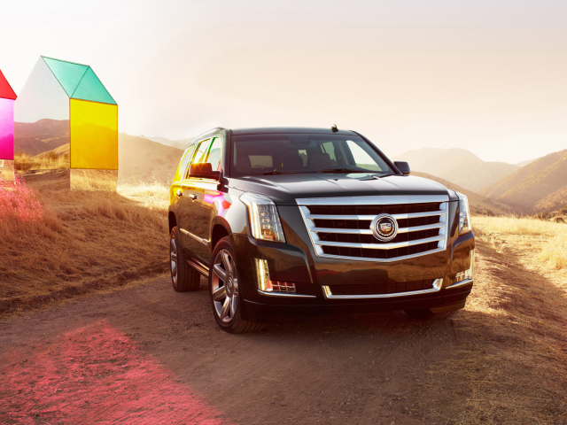 Путешественник Cadillac Escalade 2014