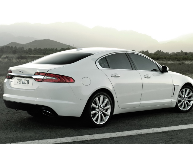 Белый Jaguar XF