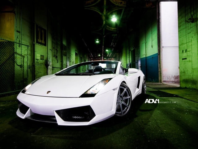 Белый Lamborghini gallardo spyder