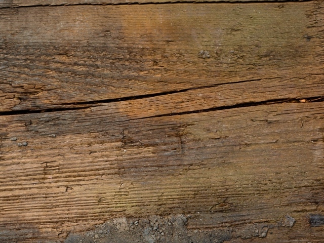 Растрескавшееся дерево