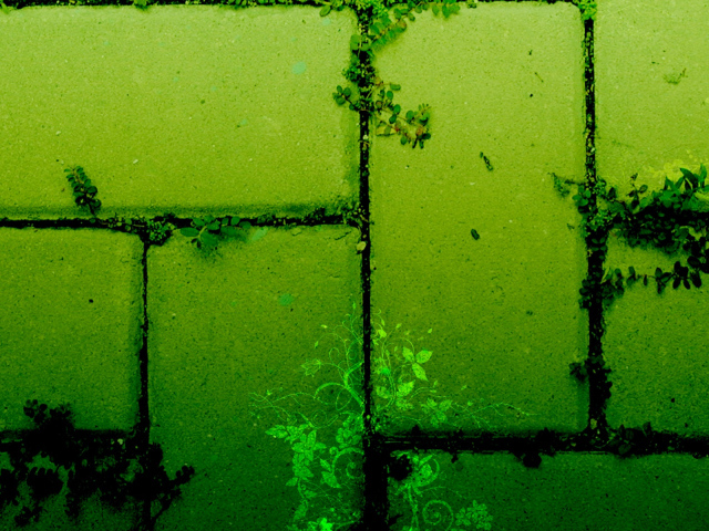 Тротуарная плитка