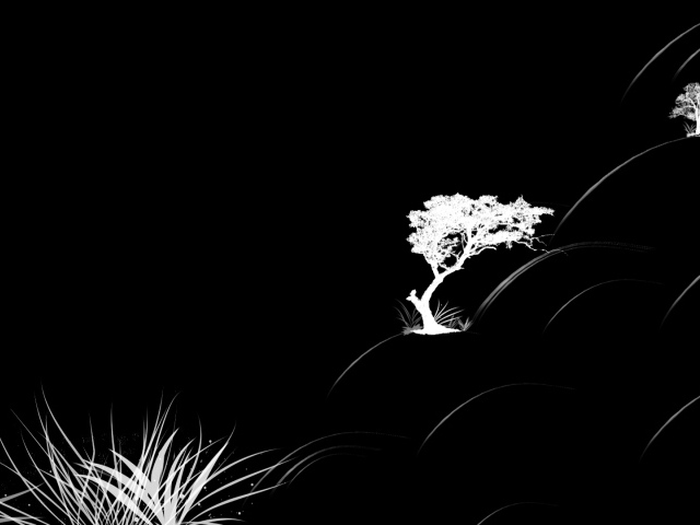Растительность на черных обоях