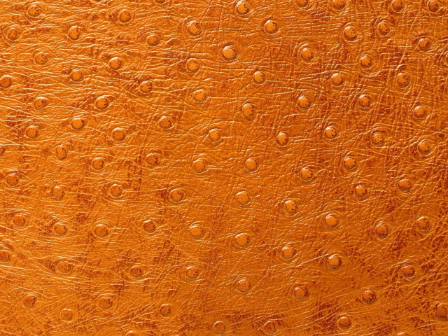 Кожа особой выделки