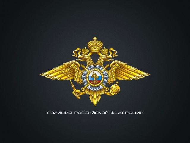 Полиция России