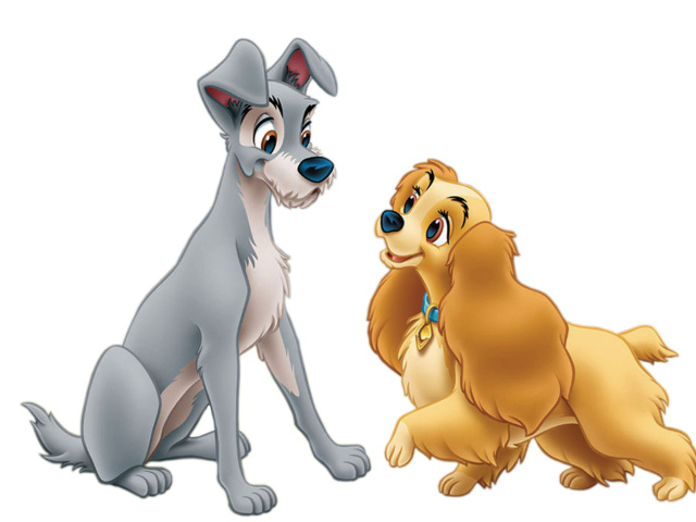 Леди и бродяга