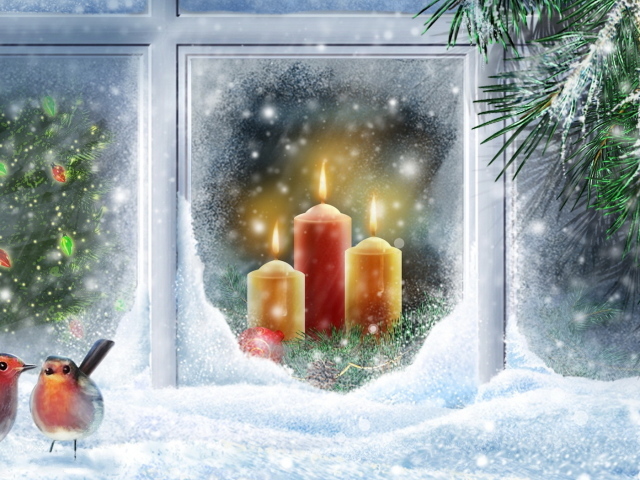 Птицы на окне в Рождество