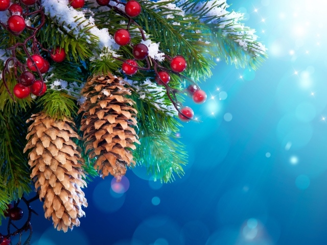 Еловые шишки и красные ягоды