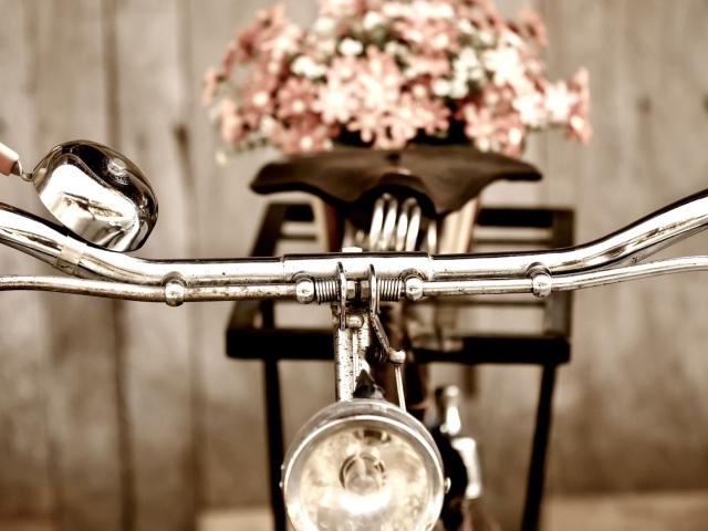 Bелосипед с цветами