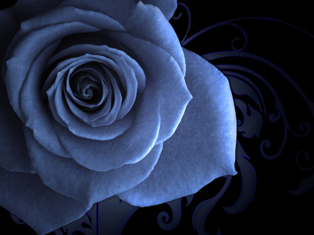 Синяя роза на красивом фоне