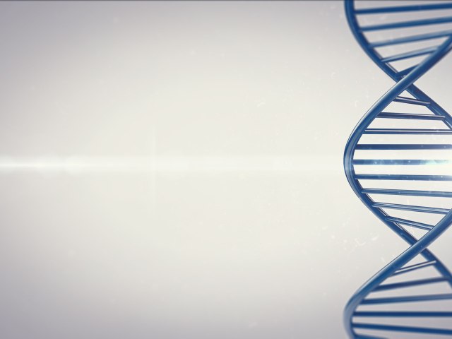 Лестница жизни ДНК