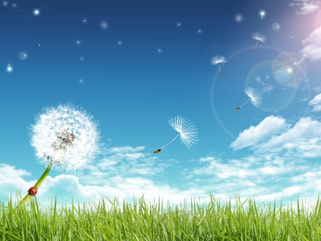 Чистые лучи солнца