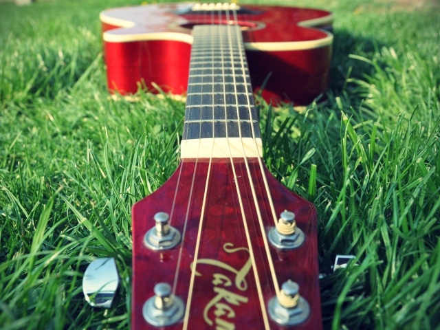 Гитара на траве