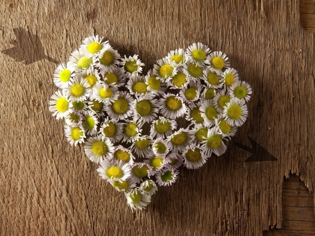 Сердечко из ромашек