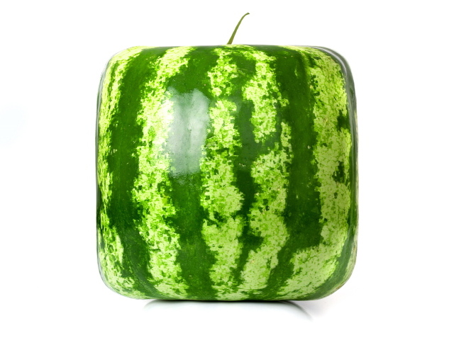 Просто квадратный арбуз