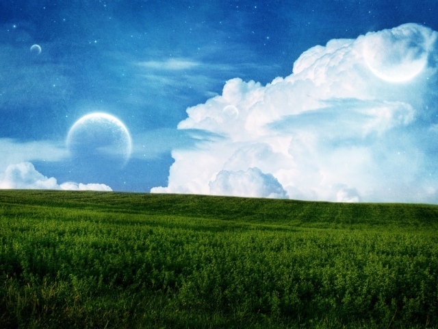 Поле и небо