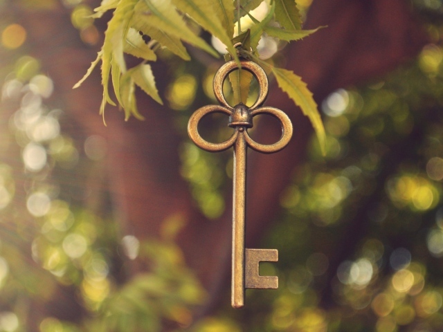 Ключ висит на ветке