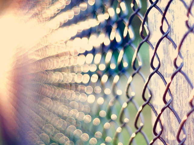 Забор из рабицы