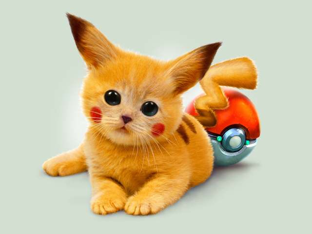 Рыжий котенок покемон