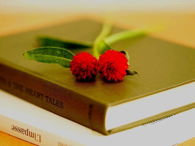 Два красных цветка на книгах
