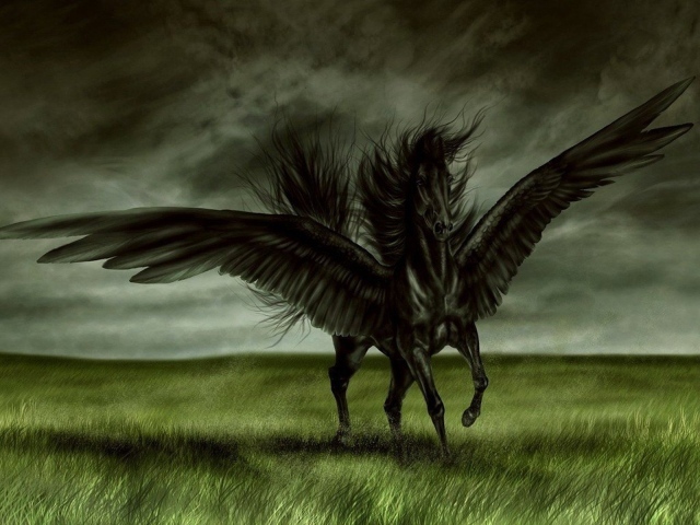 Черная лошадь с крыльями