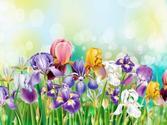 Букет полевых цветов