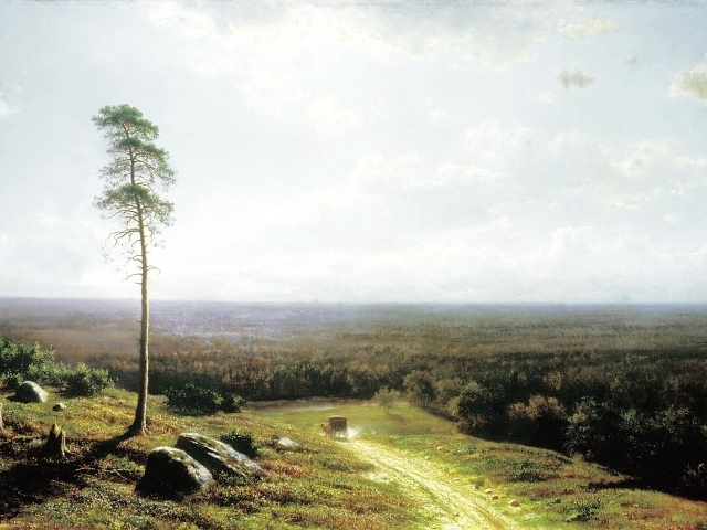 Одинокое дерево у дороги