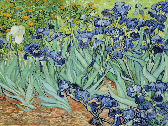 Картина Винсента Ван Гога - Цветы