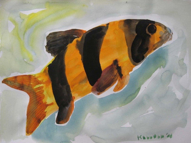 Картинка Марлен Дюма - Красочная рыба