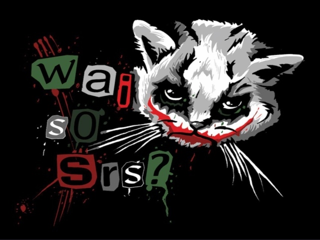 Забавный кот Джокер