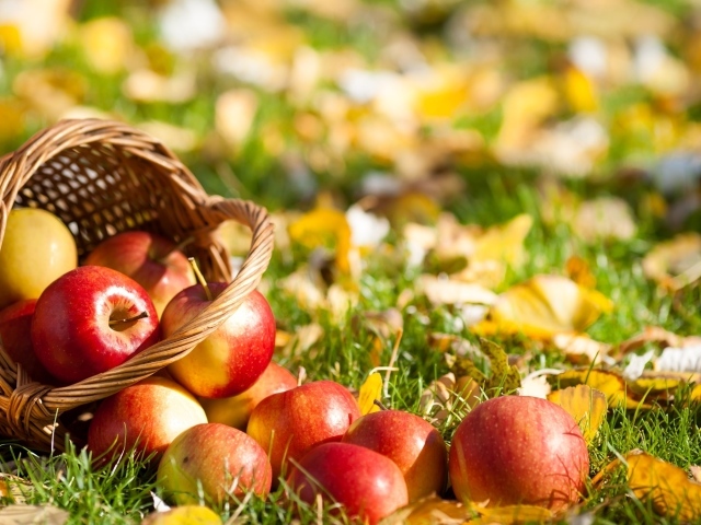Корзина с яблоками