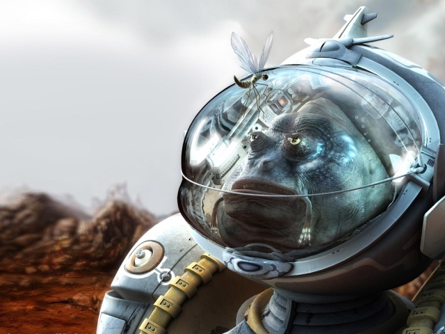 Стрекоза на скафандре